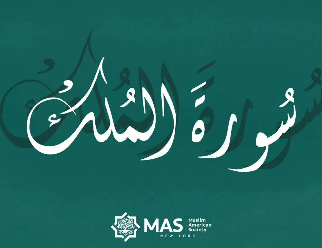 mulk-booklet-12-01.png